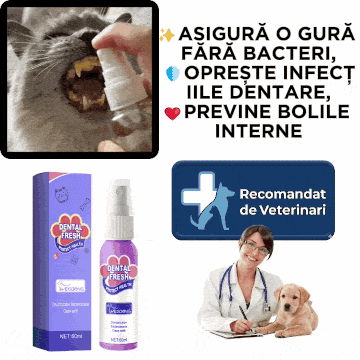 Spray Dental - DentalFresh™