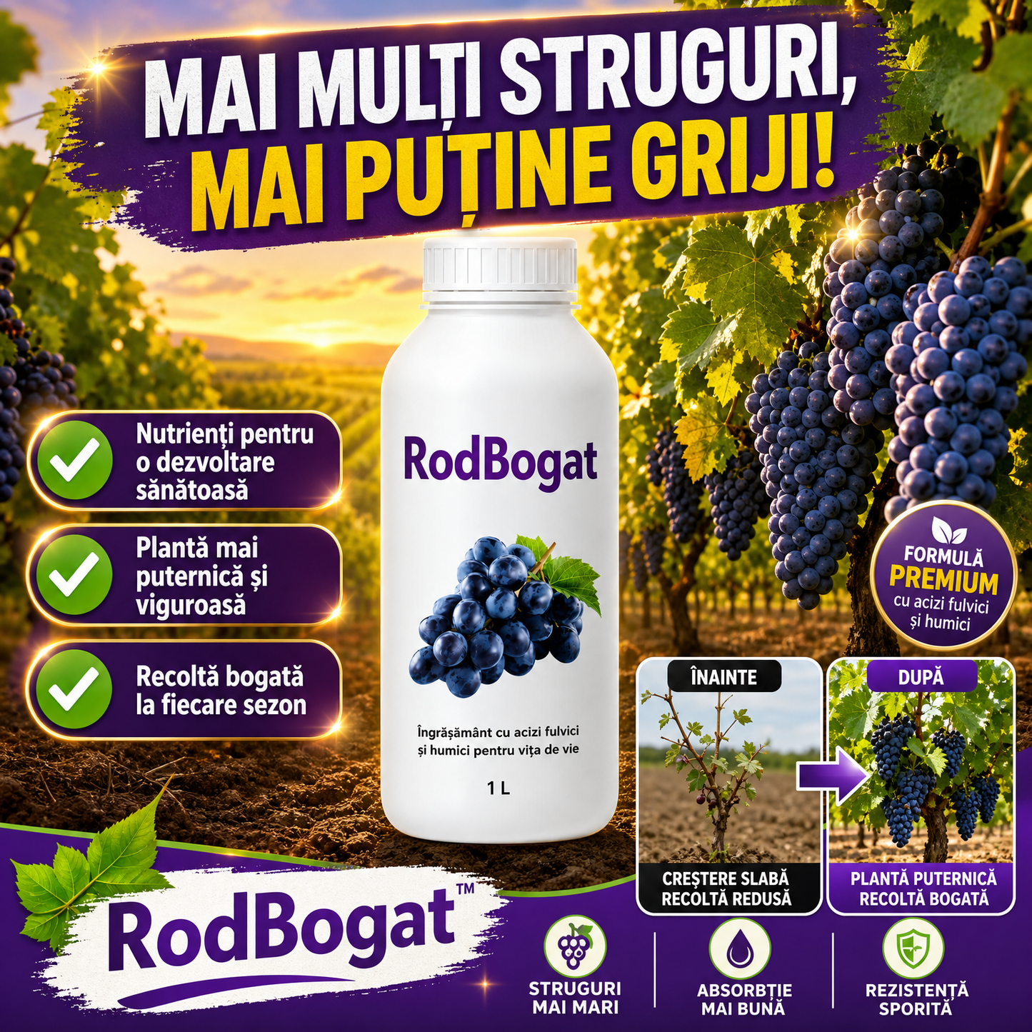 1L Îngrășământ Pentru Viță De Vie – RodBogat™