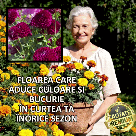 Semințe exotice de crăițe™